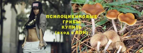 соль курить ск Алексин